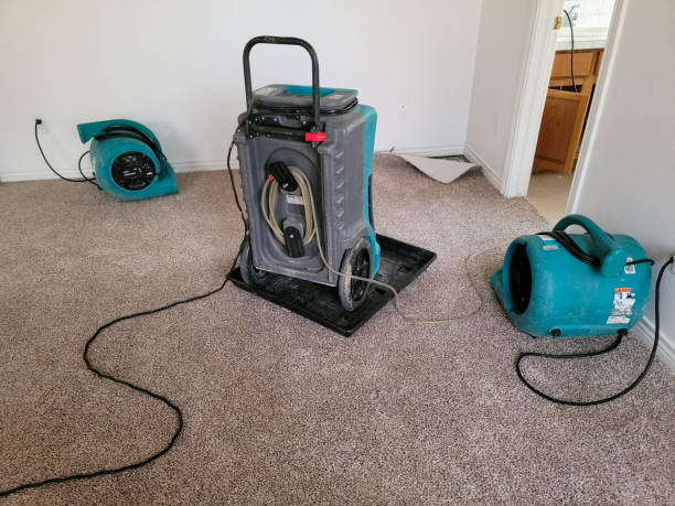 Best Fire Damage Restoration  in Rancho Cumonga, CA